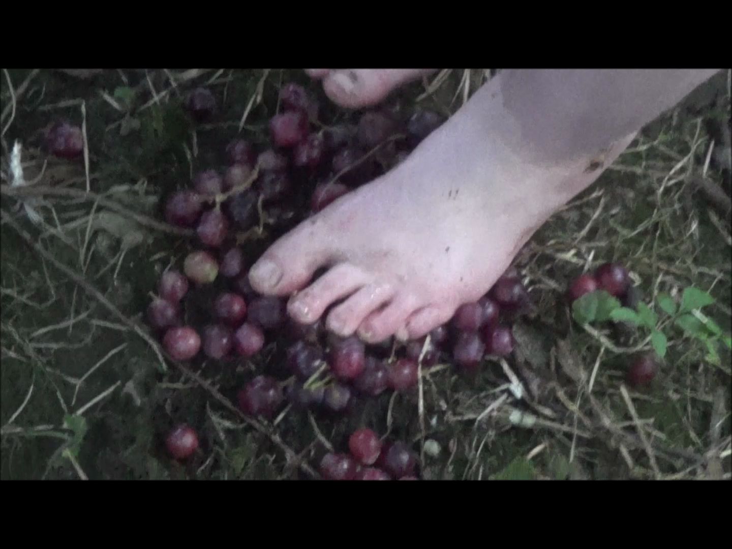 crushing-grapes_main.jpg